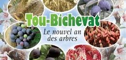RÃ©sultat de recherche d'images pour "Tou Bichvat"